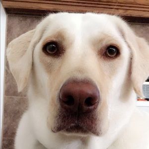 Meet your Posher, Michele